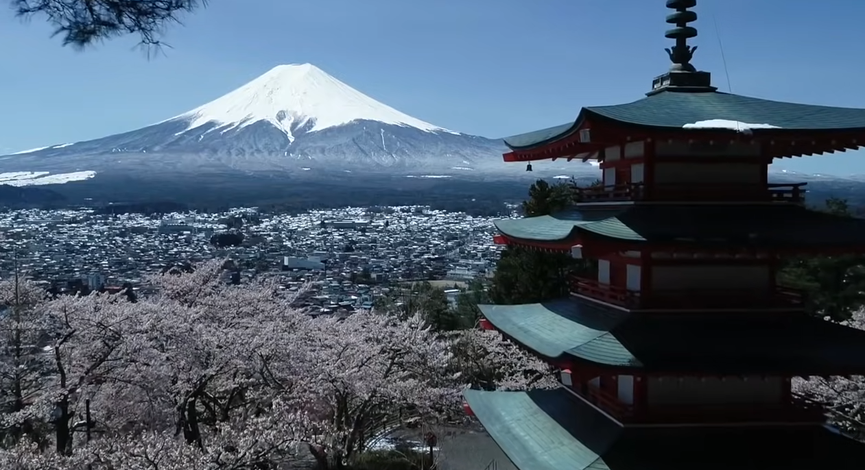 Japon au printemps, cerisiers en fleurs